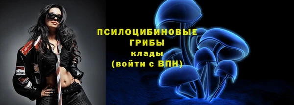 молекула духа Бронницы