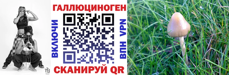 Псилоцибиновые грибы прущие грибы  Егорьевск 
