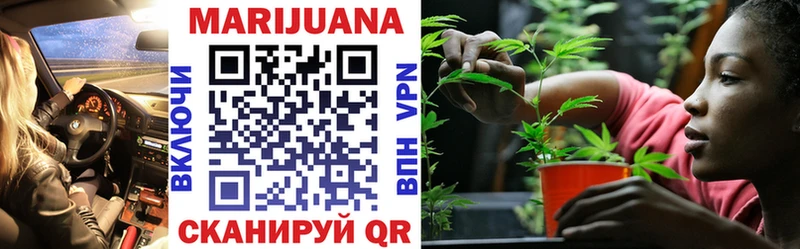 маркетплейс наркотические препараты  Егорьевск  Шишки марихуана Amnesia 